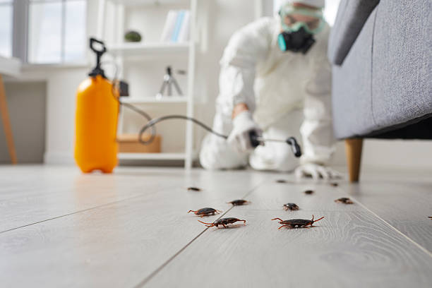 Post-Treatment Bed Bug Interceptor Monitoring in Swifton